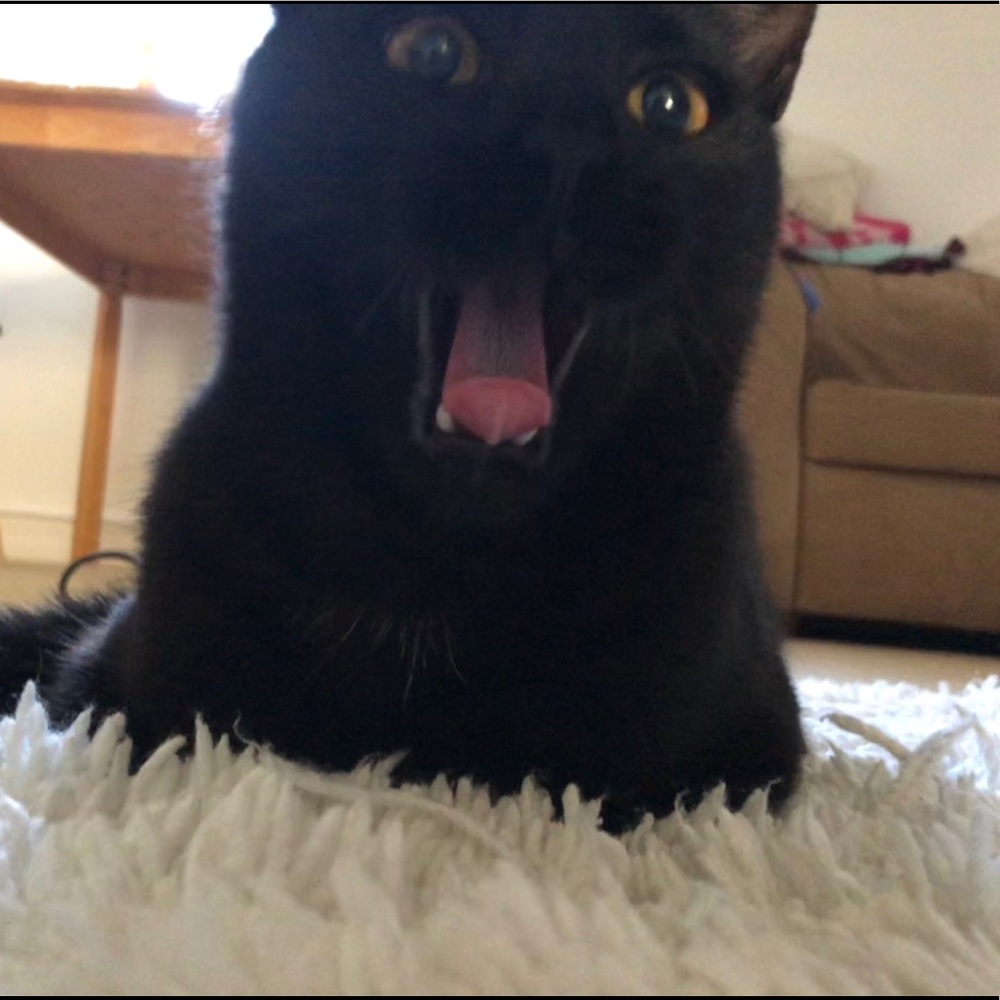 Meet your Posher, umnahhk